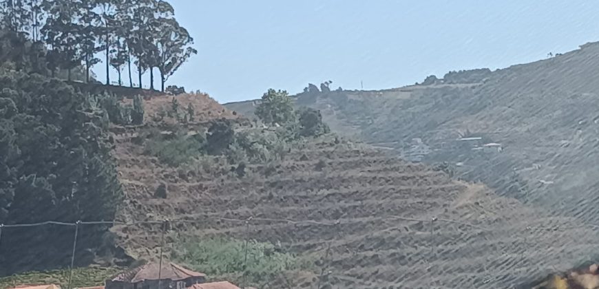 Quinta, Casa e Vinha no Douro