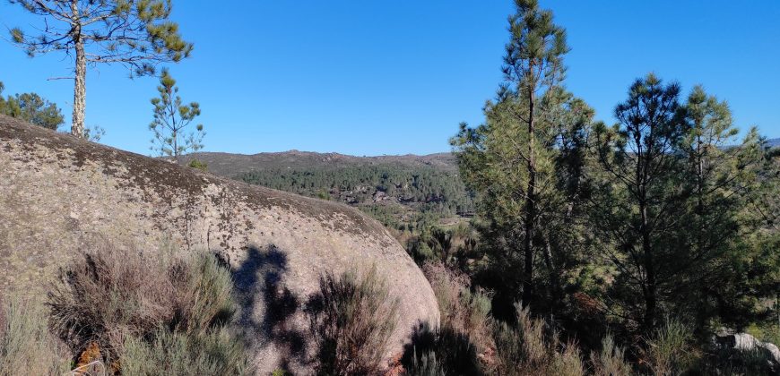 Quinta com vista deslumbrante para a Serra da Estrela