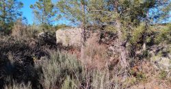 Quinta com vista deslumbrante para a Serra da Estrela