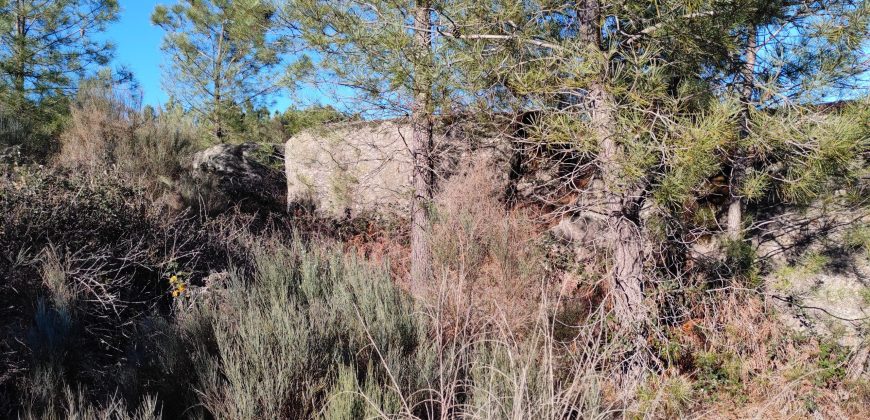 Quinta com vista deslumbrante para a Serra da Estrela