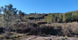 Quinta com vista deslumbrante para a Serra da Estrela