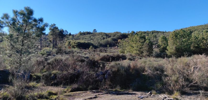Quinta com vista deslumbrante para a Serra da Estrela
