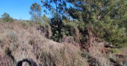Quinta com vista deslumbrante para a Serra da Estrela