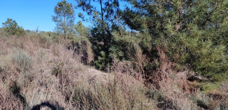 Quinta com vista deslumbrante para a Serra da Estrela