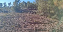 Quinta com vista deslumbrante para a Serra da Estrela