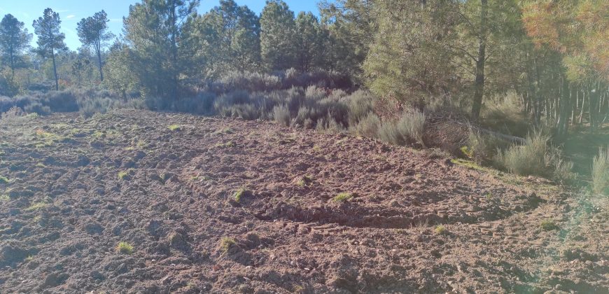Quinta com vista deslumbrante para a Serra da Estrela