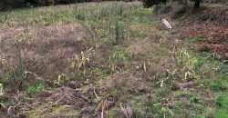 Quinta em aldeia entre Viseu e a Guarda