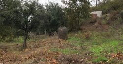 Quinta em aldeia entre Viseu e a Guarda