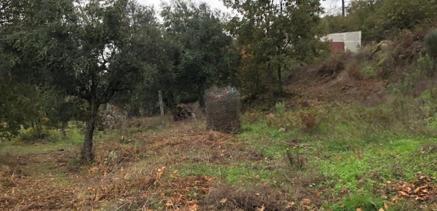 Quinta em aldeia entre Viseu e a Guarda