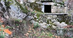 Quinta em aldeia entre Viseu e a Guarda