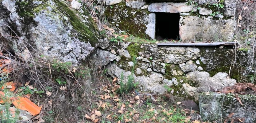 Quinta em aldeia entre Viseu e a Guarda