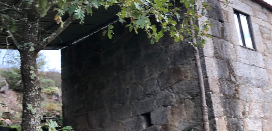 Quinta em aldeia entre Viseu e a Guarda