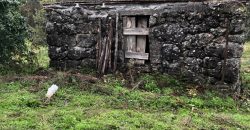 Quinta em aldeia entre Viseu e a Guarda