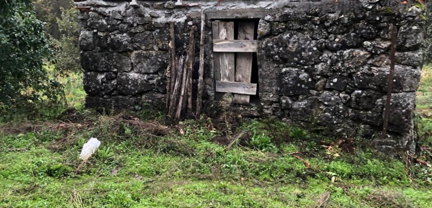 Quinta em aldeia entre Viseu e a Guarda