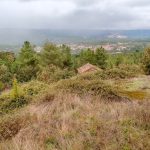Quintinha encantadora, situada numa aldeia típica na zona Serrana