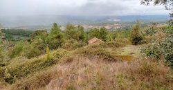 Quintinha encantadora, situada numa aldeia típica na zona Serrana