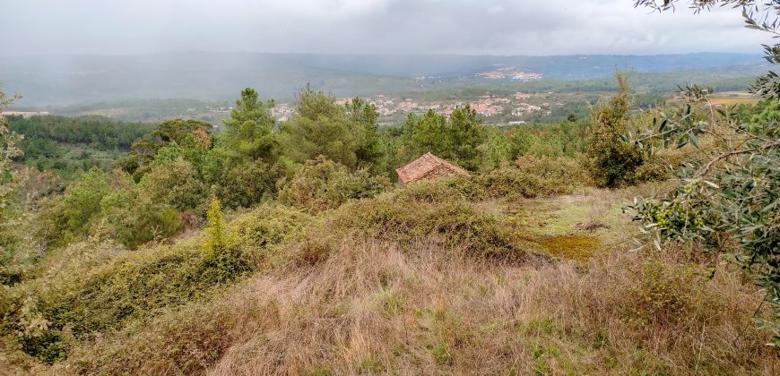 Quintinha encantadora, situada numa aldeia típica na zona Serrana