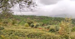 Quintinha encantadora, situada numa aldeia típica na zona Serrana