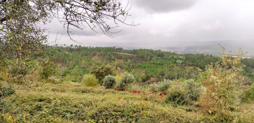 Quintinha encantadora, situada numa aldeia típica na zona Serrana