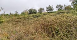Quintinha encantadora, situada numa aldeia típica na zona Serrana