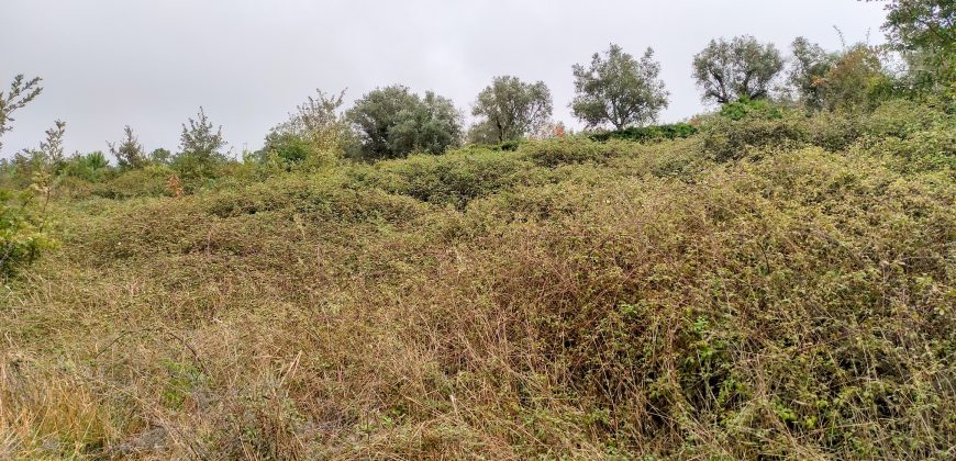 Quintinha encantadora, situada numa aldeia típica na zona Serrana