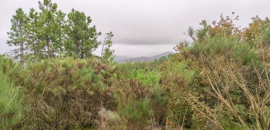 Quintinha encantadora, situada numa aldeia típica na zona Serrana