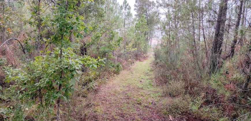 Quintinha encantadora, situada numa aldeia típica na zona Serrana