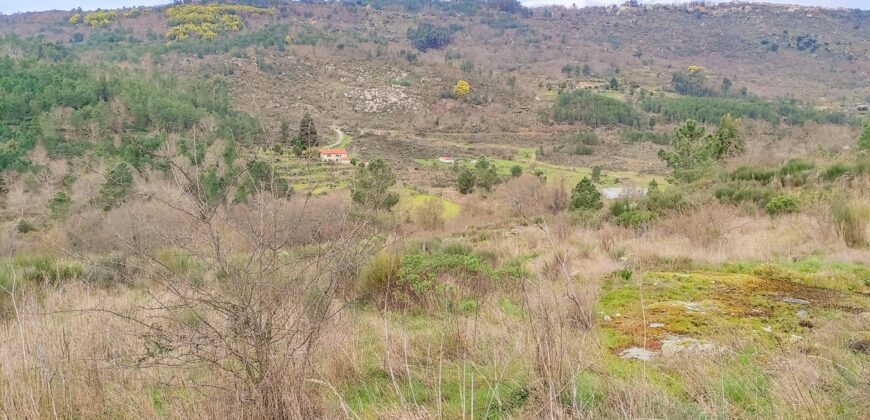 Quinta com Casa de Pedra e Pavilhão