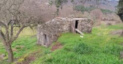 Quinta com Casa de Pedra e Pavilhão