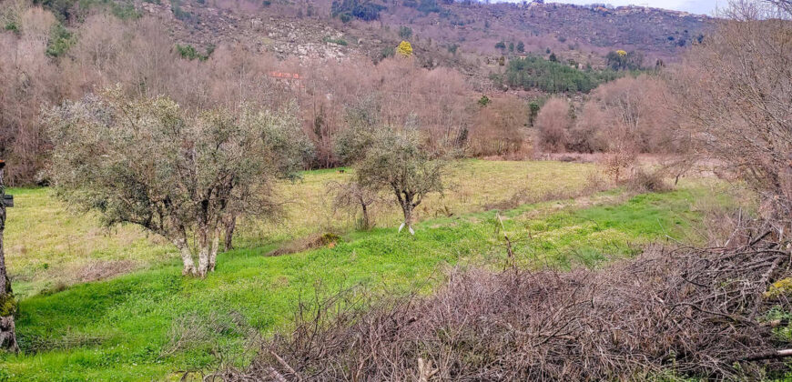 Quinta com Casa de Pedra e Pavilhão