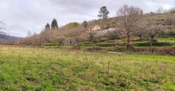 Quinta com Casa de Pedra e Pavilhão