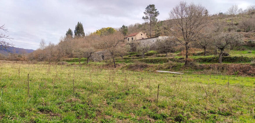 Quinta com Casa de Pedra e Pavilhão