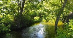 Quinta com Vista para a Serra da Estrela – Um Refúgio Natural
