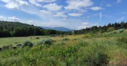 Quinta com Vista para a Serra da Estrela – Um Refúgio Natural