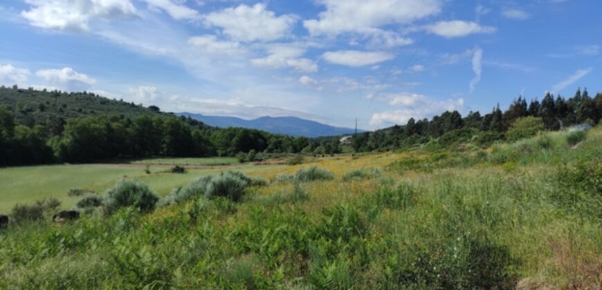 Quinta com Vista para a Serra da Estrela – Um Refúgio Natural