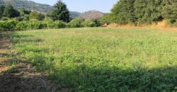 Excellent Farm in Beira Alta with 1.8 Hectares and Unique Potential