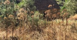 Excellent Farm in Beira Alta with 1.8 Hectares and Unique Potential