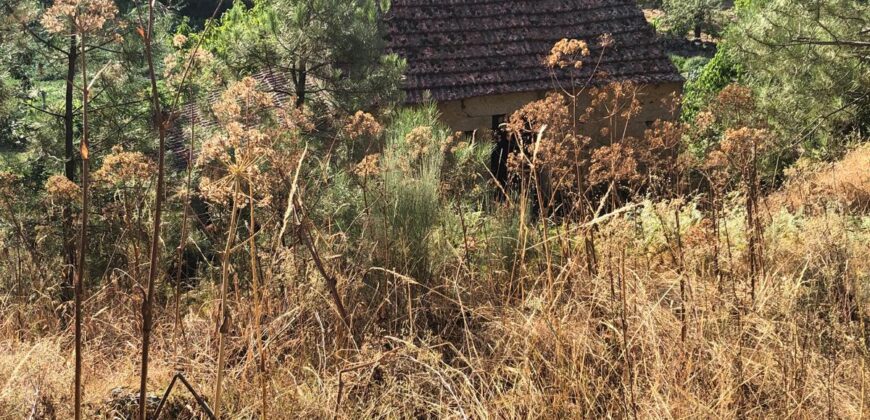 Excellent Farm in Beira Alta with 1.8 Hectares and Unique Potential