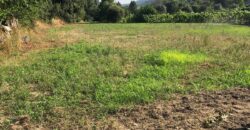 Excellent Farm in Beira Alta with 1.8 Hectares and Unique Potential
