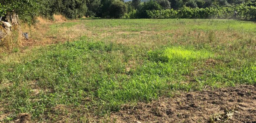 Excellent Farm in Beira Alta with 1.8 Hectares and Unique Potential