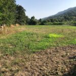 Excellent Farm in Beira Alta with 1.8 Hectares and Unique Potential