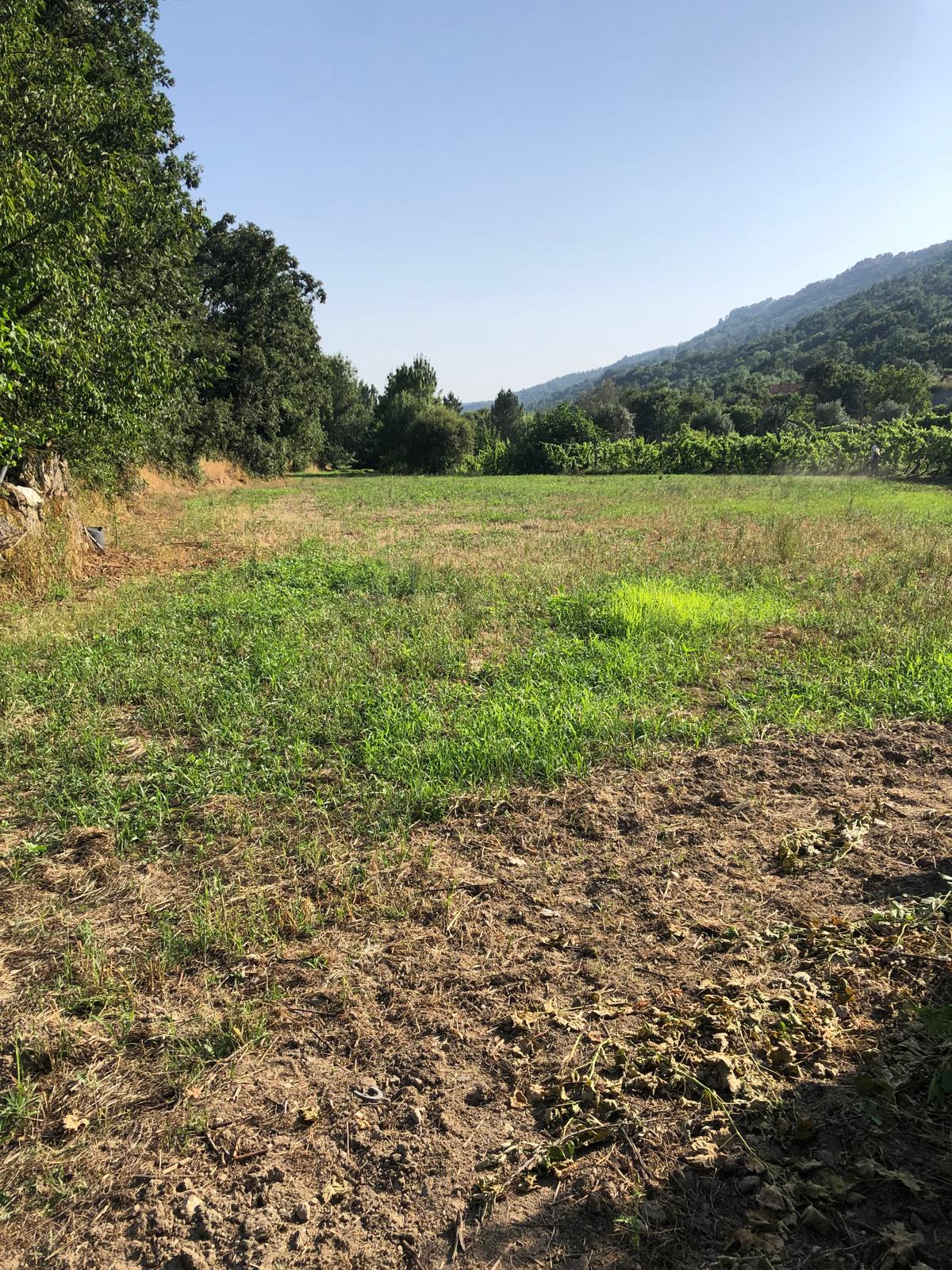 Excellent Farm in Beira Alta with 1.8 Hectares and Unique Potential