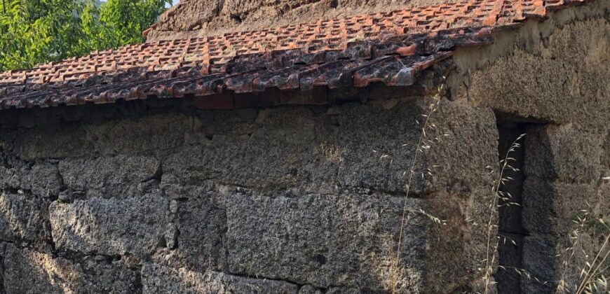 Excellent Farm in Beira Alta with 1.8 Hectares and Unique Potential