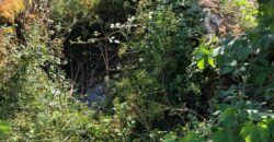 Excellent Farm in Beira Alta with 1.8 Hectares and Unique Potential