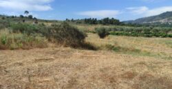 Quinta na Beira Alta (5 hectares) – Água Própria, Excelentes Acessos