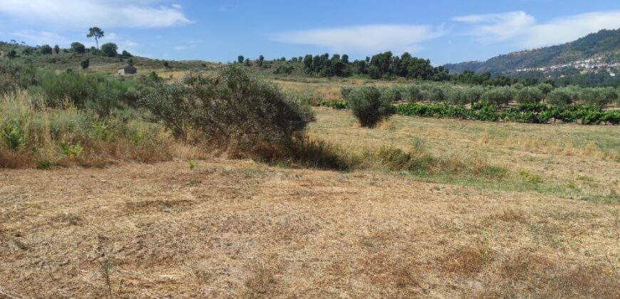 Quinta na Beira Alta (5 hectares) – Água Própria, Excelentes Acessos