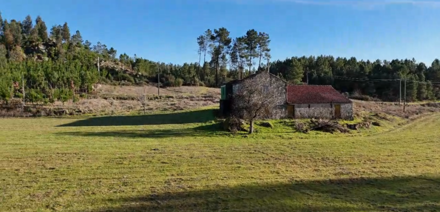 The Perfect Refuge Between the River and Nature: Exclusive 2‑Hectare Estate