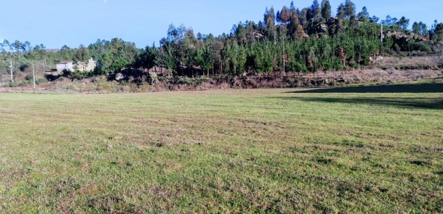 The Perfect Refuge Between the River and Nature: Exclusive 2‑Hectare Estate
