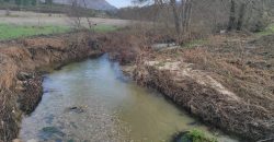 Quinta com 3,7 Hectares
