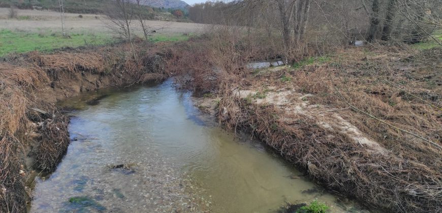 Quinta com 3,7 Hectares